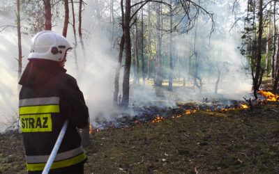 Pożar lasu – ul. Hynka