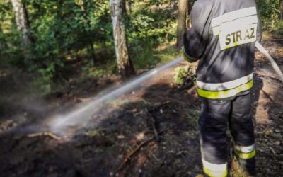 Pożar podszycia leśnego – ul. Prymasowska