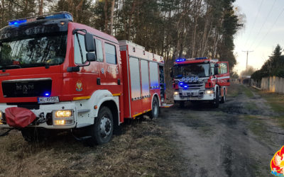 Pożar podszycia leśnego – ul. Grudzie, Legionowo