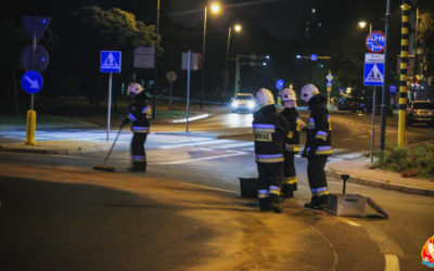 Pożar śmieci i plama ropopochodna – Legionowo