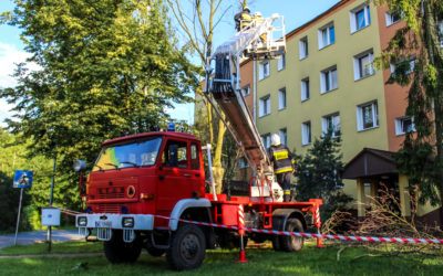 Zagrażające drzewo na osiedlu – ul. Piaskowa