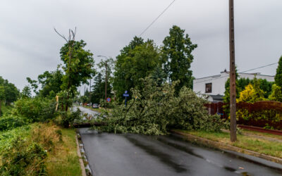 Płock – usuwanie skutków burzy